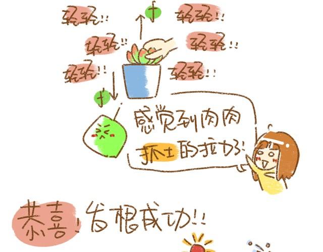 《多肉笔记》第2话 发根篇 第12页