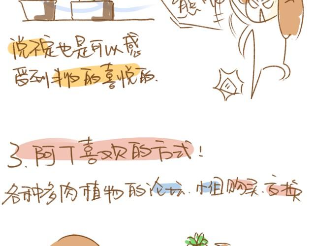 《多肉笔记》第1话 这么养多肉会死的！ 第11页
