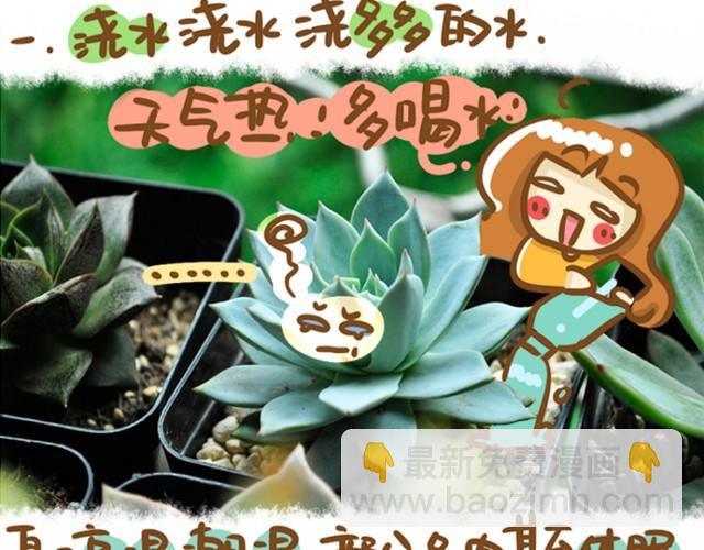 《多肉笔记》第1话 这么养多肉会死的！ 第17页