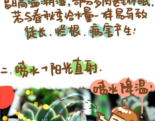 《多肉笔记》第1话 这么养多肉会死的！ 第18页