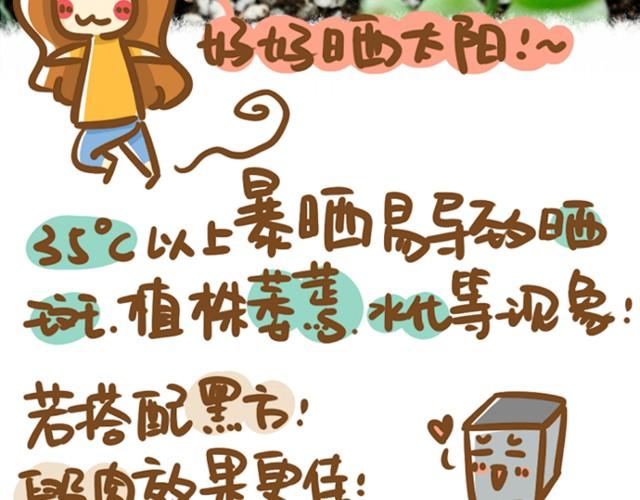 《多肉笔记》第1话 这么养多肉会死的！ 第21页