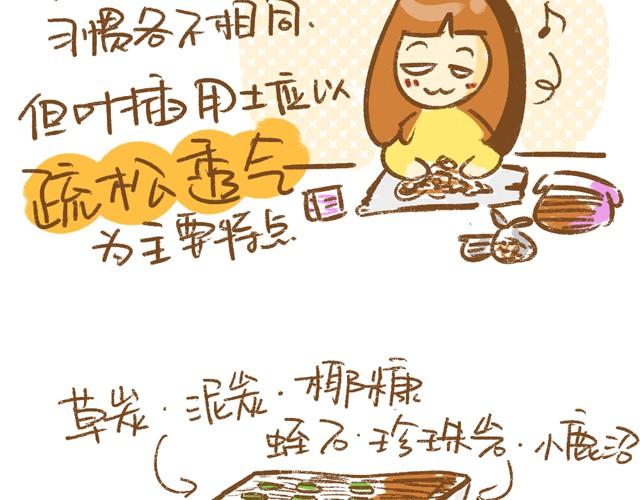 《多肉笔记》第3话 叶插篇（一） 第10页