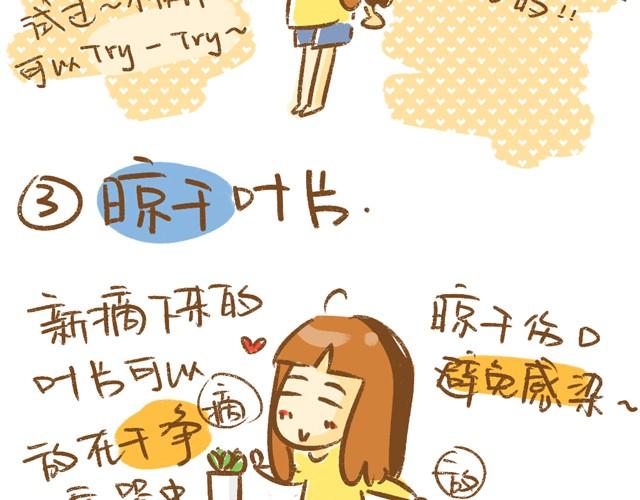 《多肉笔记》第3话 叶插篇（一） 第12页