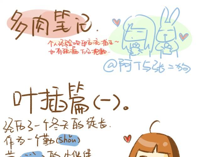 《多肉笔记》第3话 叶插篇（一） 第1页