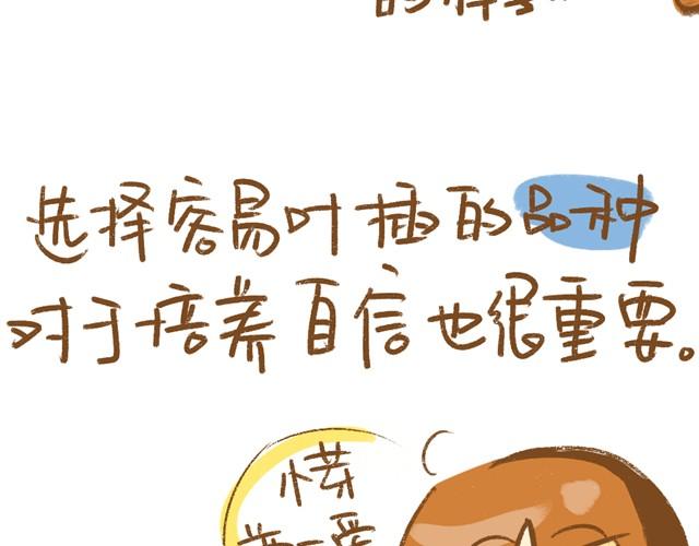 《多肉笔记》第3话 叶插篇（一） 第5页