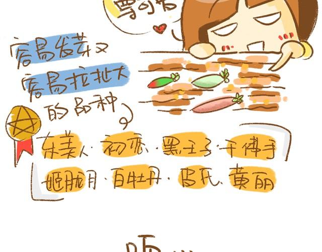 《多肉笔记》第3话 叶插篇（一） 第6页