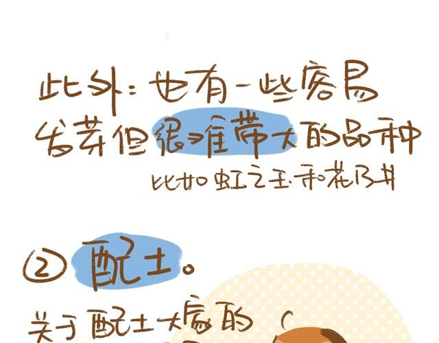 《多肉笔记》第3话 叶插篇（一） 第9页