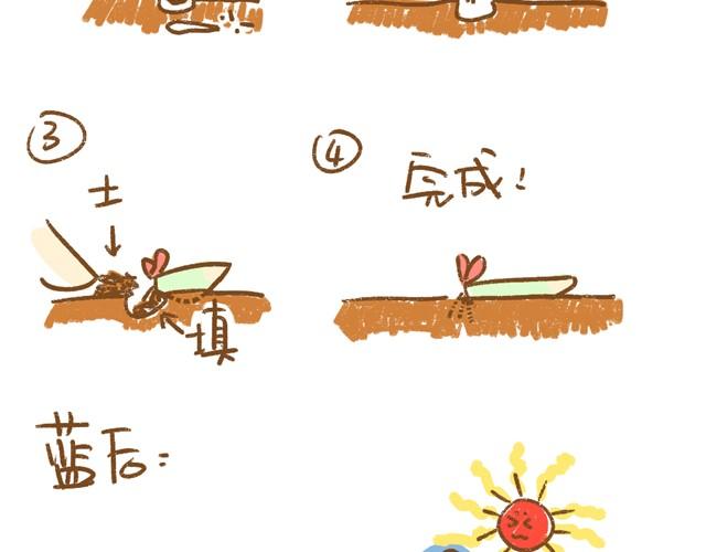 《多肉笔记》第4话 插叶篇（二） 第12页