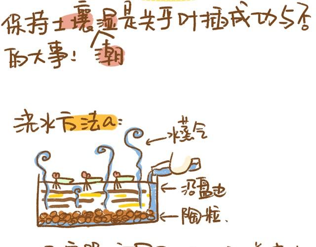 《多肉笔记》第4话 插叶篇（二） 第15页