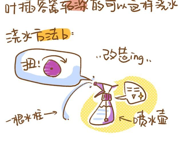 《多肉笔记》第4话 插叶篇（二） 第16页