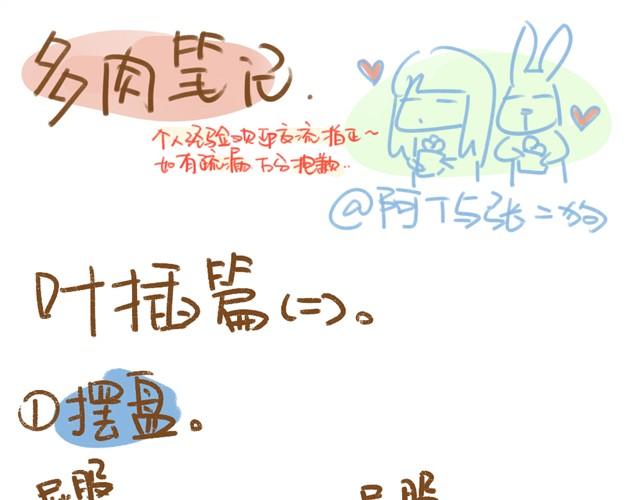 《多肉笔记》第4话 插叶篇（二） 第1页