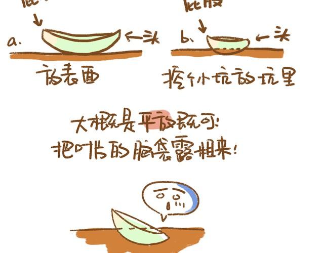 《多肉笔记》第4话 插叶篇（二） 第2页