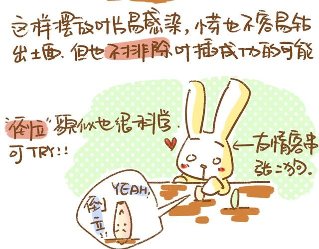《多肉笔记》第4话 插叶篇（二） 第3页