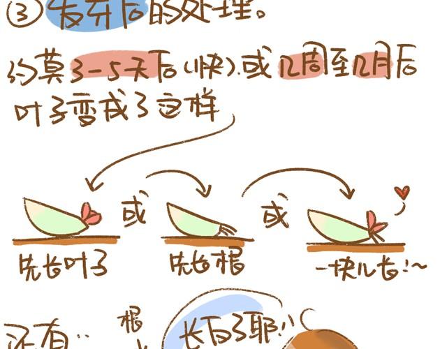 《多肉笔记》第4话 插叶篇（二） 第9页