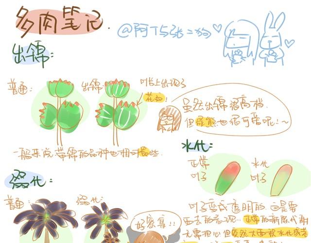 《多肉笔记》第6话 多肉笔记 第3页