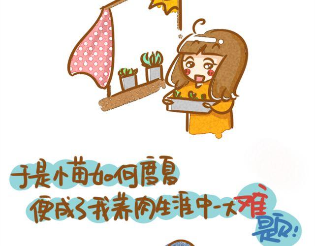 《多肉笔记》番外篇 小苗度夏 第2页