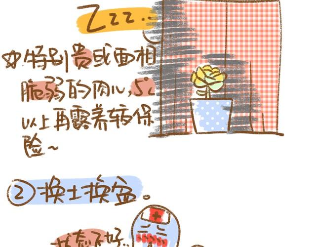 《多肉笔记》第5话 春季植物养护篇 第3页