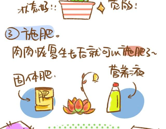《多肉笔记》第5话 春季植物养护篇 第5页