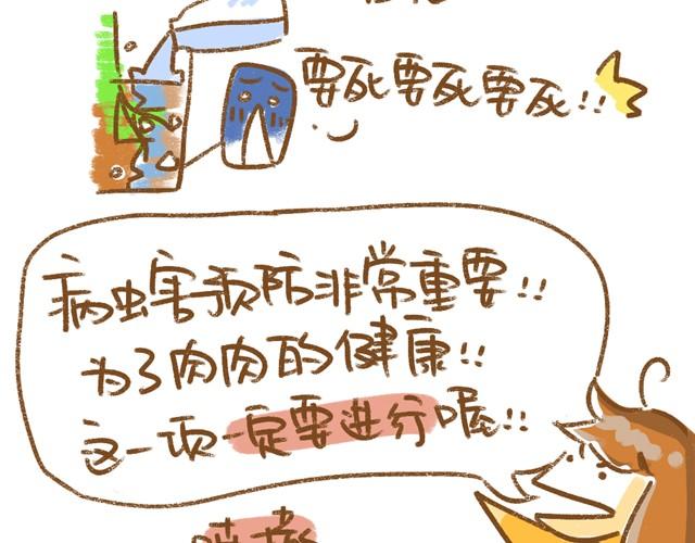 《多肉笔记》第5话 春季植物养护篇 第7页