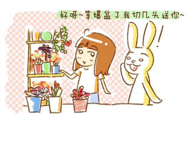 《多肉笔记》番外 辩论赛 第16页