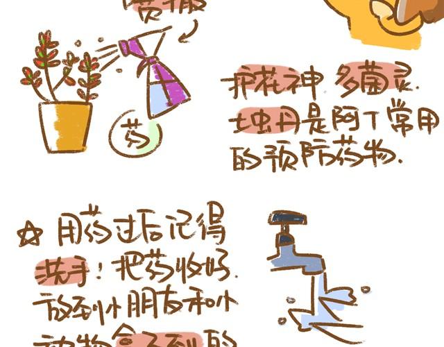 《多肉笔记》第5话 春季植物养护篇 第8页