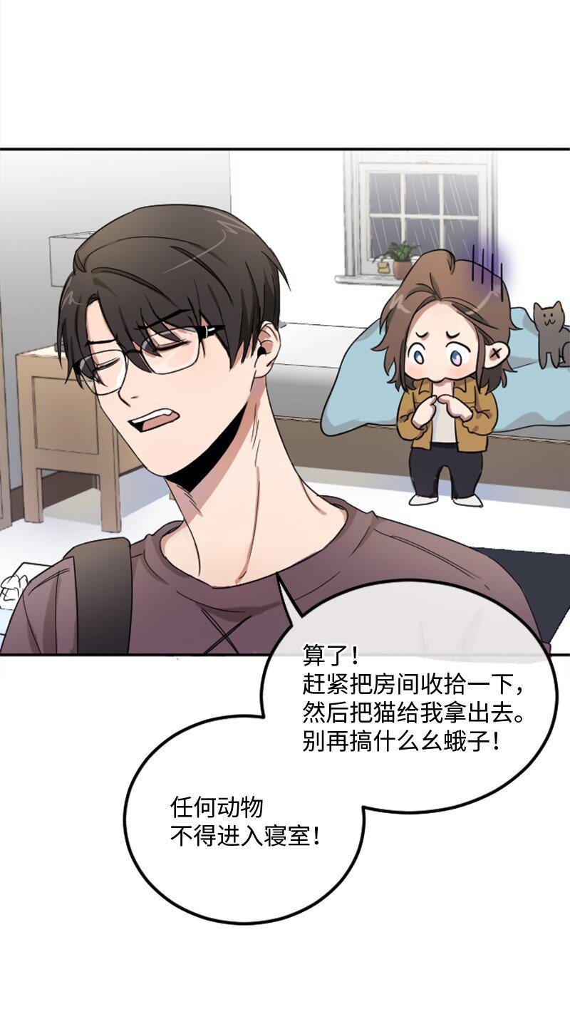 《桃子的奶爸们》01 噩梦的开始 第31页
