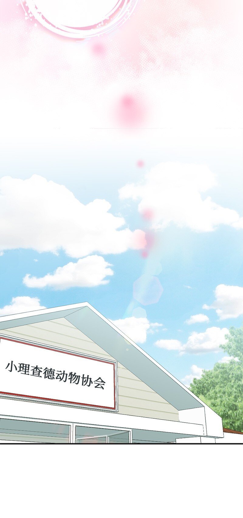 《桃子的奶爸们》66 直播处子秀 第4页