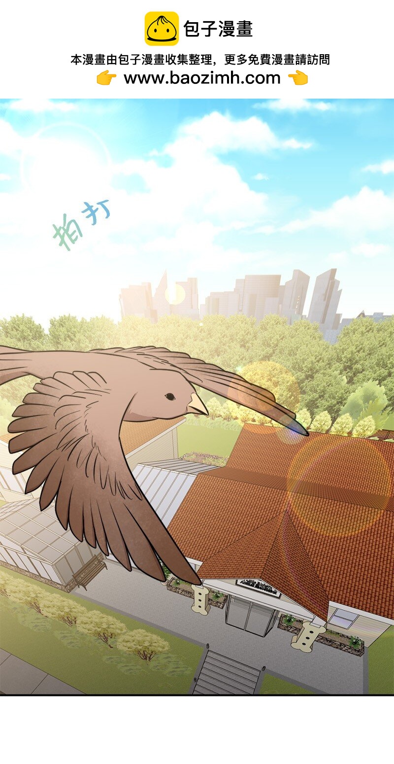 《桃子的奶爸们》68 西奥和桃子失踪了 第2页