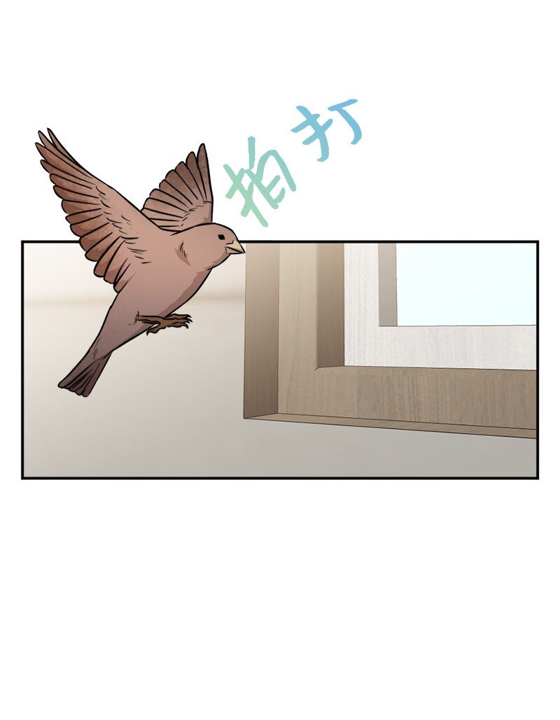 《桃子的奶爸们》68 西奥和桃子失踪了 第3页
