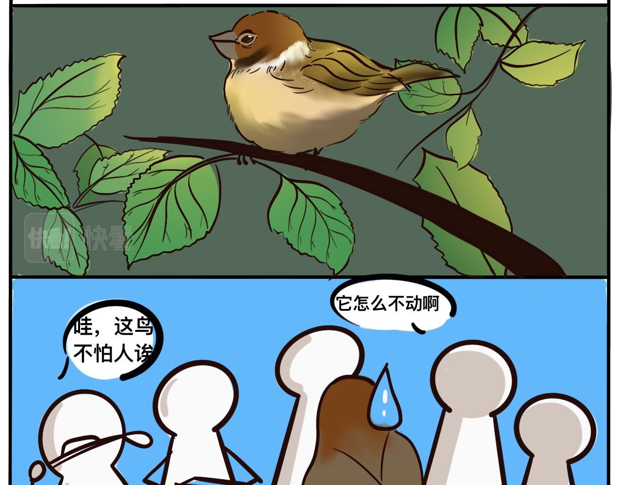《草莓荷包蛋的日常》有思想的鸟 第1页