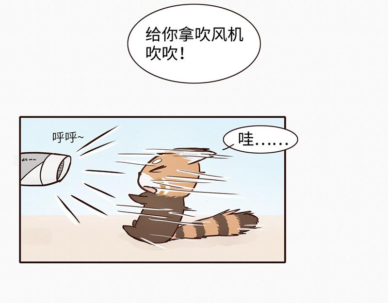 《我家有只小熊猫》第1话 是福不是祸，是猪躲不过 第10页