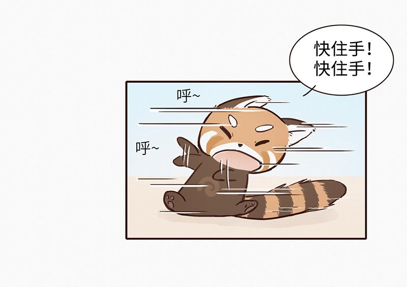 《我家有只小熊猫》第1话 是福不是祸，是猪躲不过 第11页