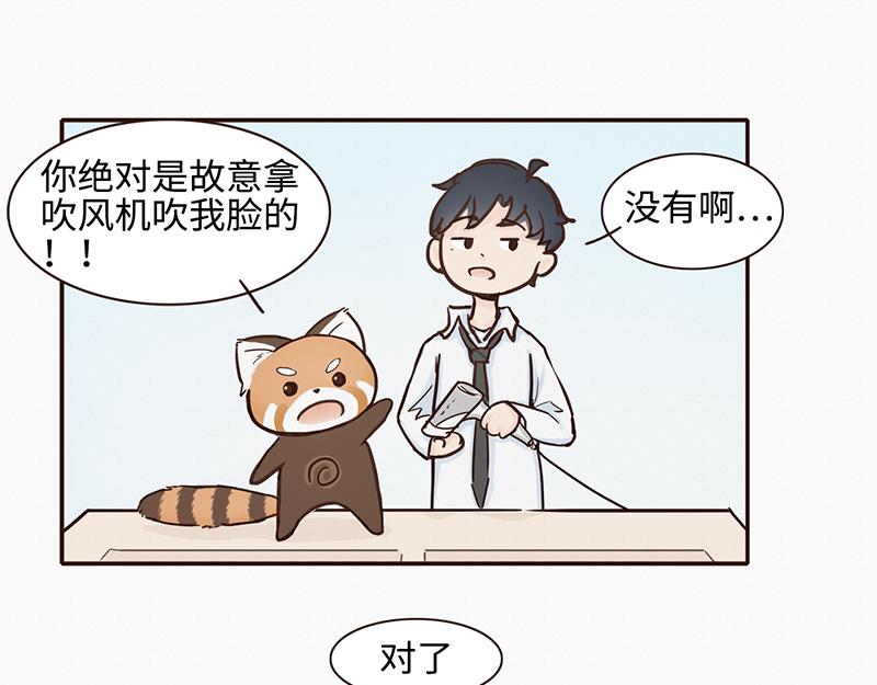 《我家有只小熊猫》第1话 是福不是祸，是猪躲不过 第12页