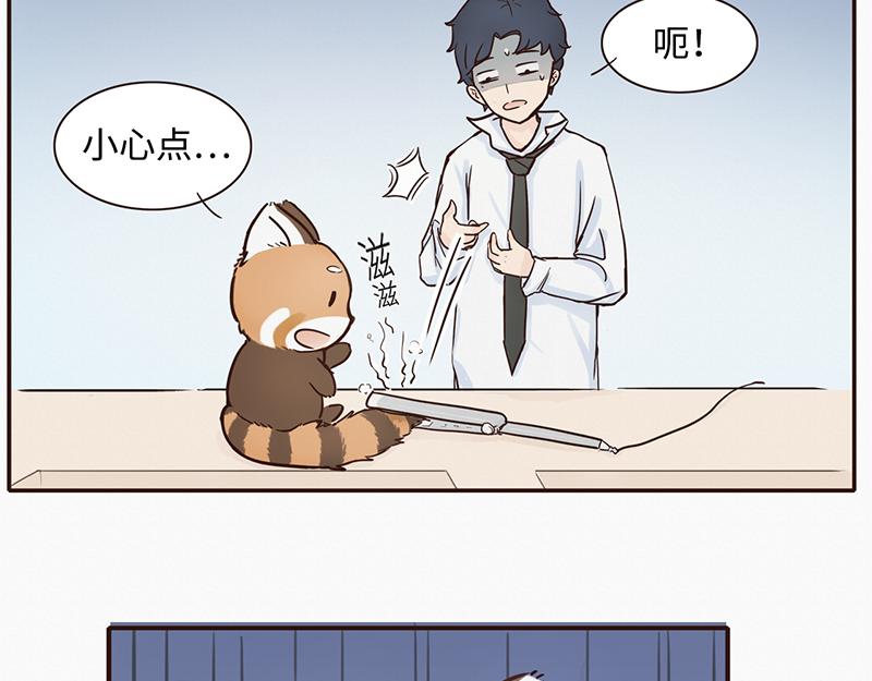 《我家有只小熊猫》第1话 是福不是祸，是猪躲不过 第15页