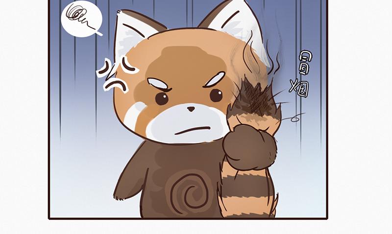 《我家有只小熊猫》第1话 是福不是祸，是猪躲不过 第16页