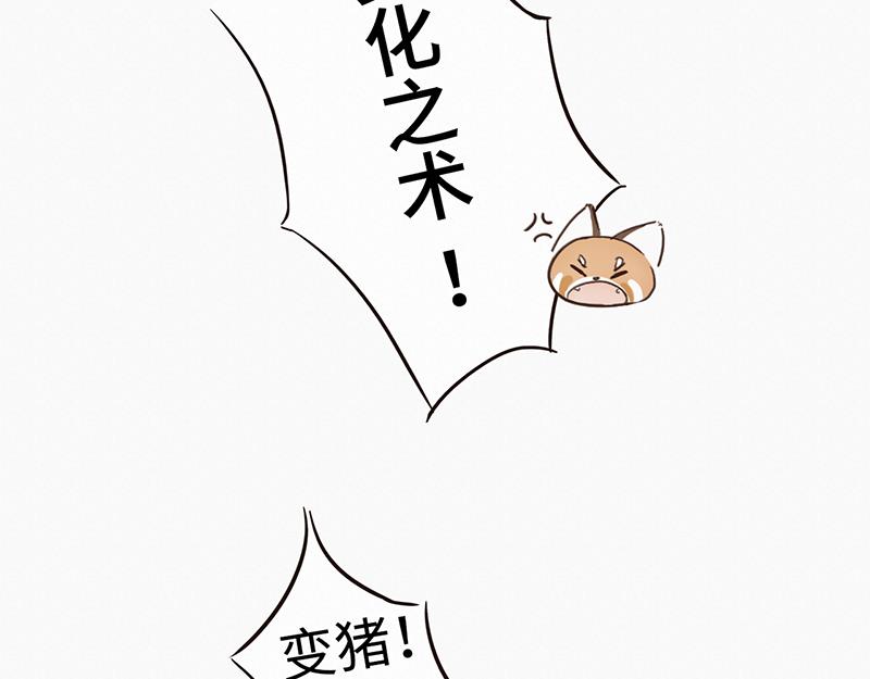 《我家有只小熊猫》第1话 是福不是祸，是猪躲不过 第19页