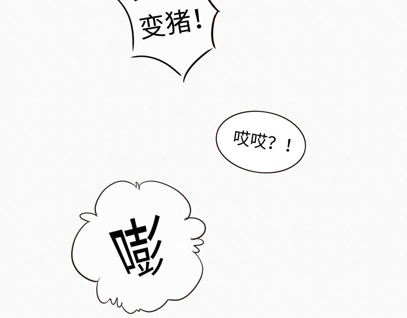 《我家有只小熊猫》第1话 是福不是祸，是猪躲不过 第20页