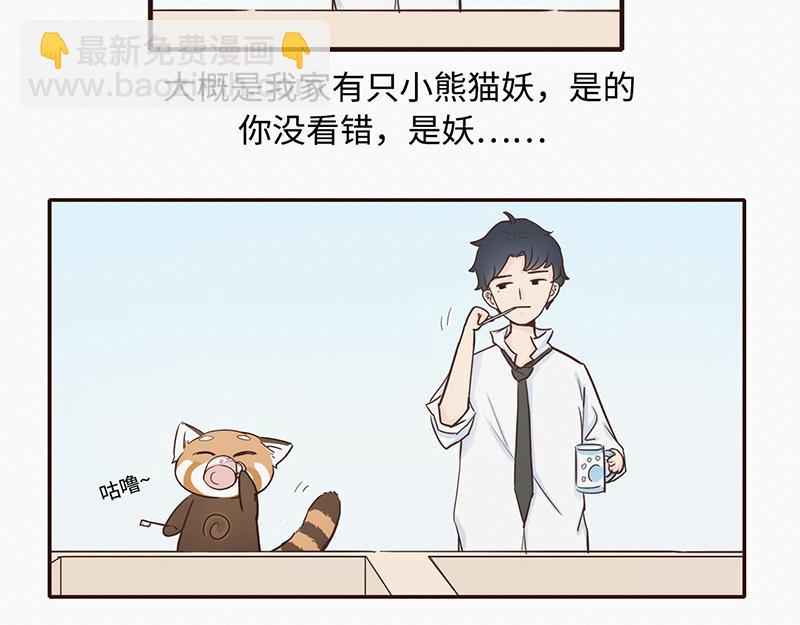 《我家有只小熊猫》第1话 是福不是祸，是猪躲不过 第4页