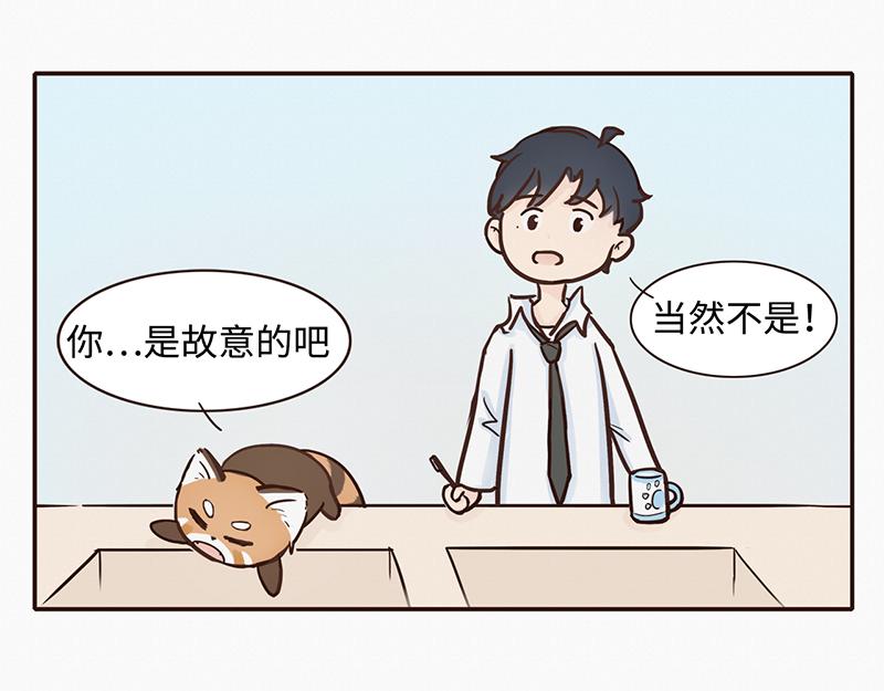 《我家有只小熊猫》第1话 是福不是祸，是猪躲不过 第9页
