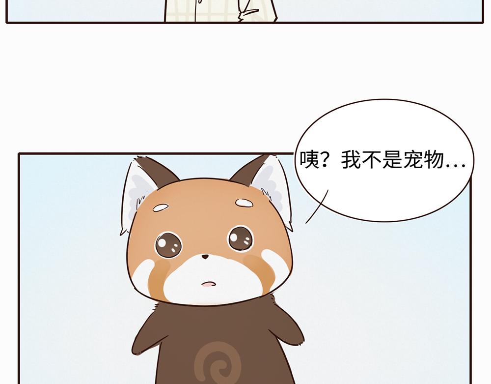 《我家有只小熊猫》第3话 你是谁呀 第11页