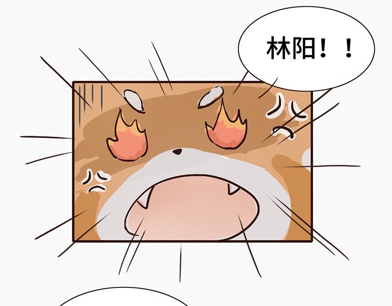 《我家有只小熊猫》第1话 是福不是祸，是猪躲不过 第17页