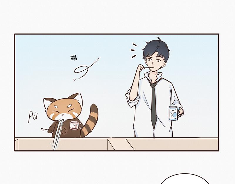 《我家有只小熊猫》第1话 是福不是祸，是猪躲不过 第5页