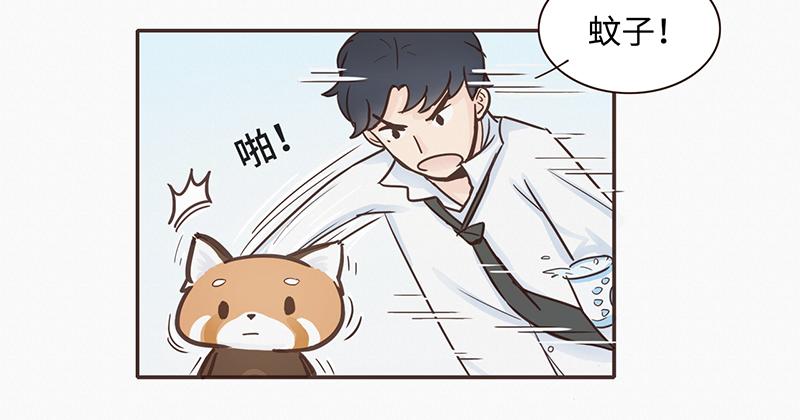 《我家有只小熊猫》第1话 是福不是祸，是猪躲不过 第6页