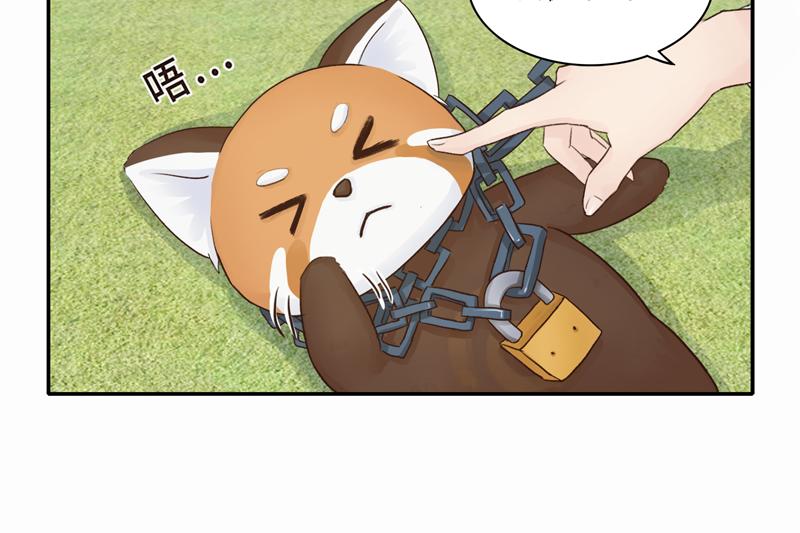 《我家有只小熊猫》番外3《不期而遇》相识 第10页