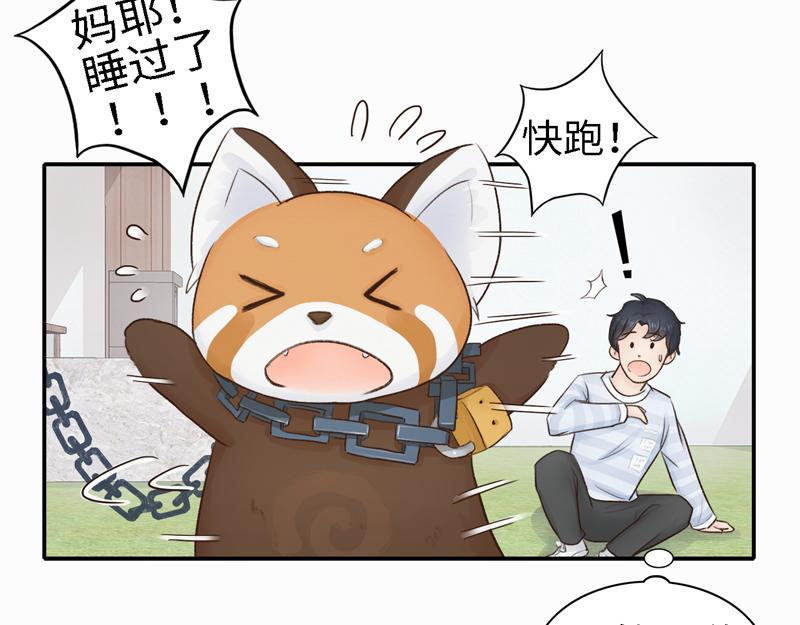 《我家有只小熊猫》番外3《不期而遇》相识 第13页