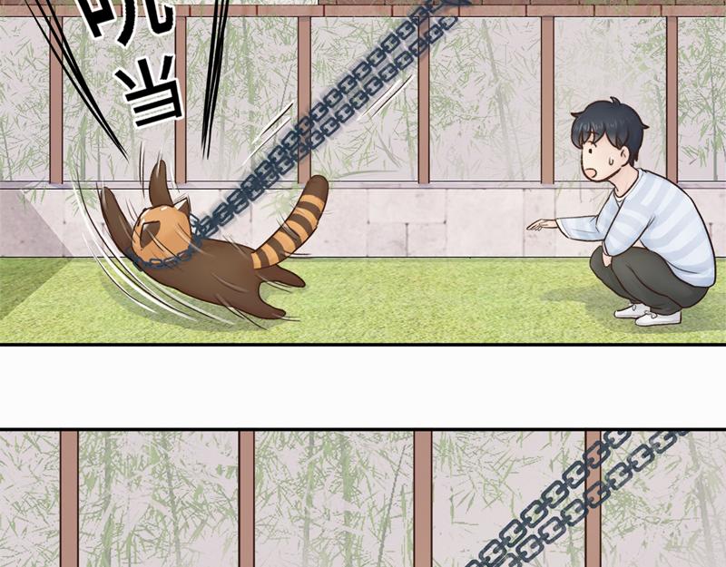 《我家有只小熊猫》番外3《不期而遇》相识 第15页