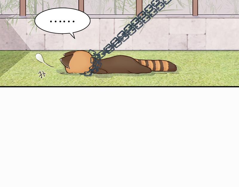 《我家有只小熊猫》番外3《不期而遇》相识 第16页