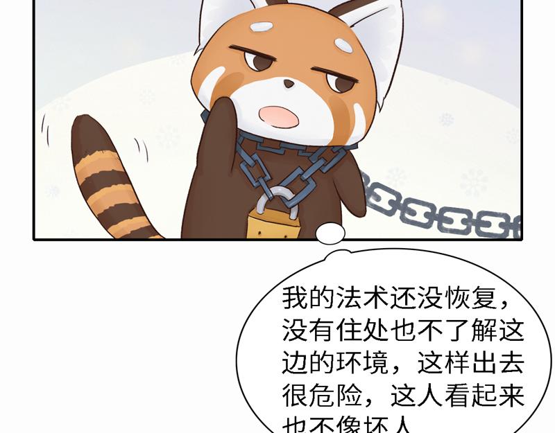 《我家有只小熊猫》番外3《不期而遇》相识 第37页