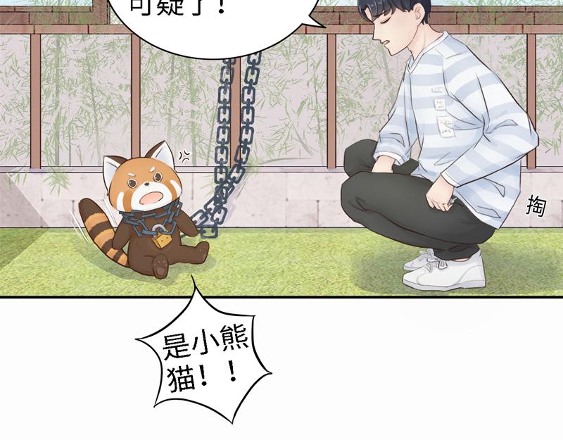 《我家有只小熊猫》番外3《不期而遇》相识 第41页