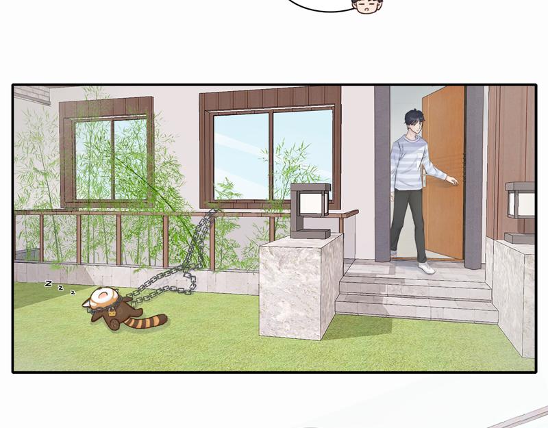 《我家有只小熊猫》番外3《不期而遇》相识 第4页